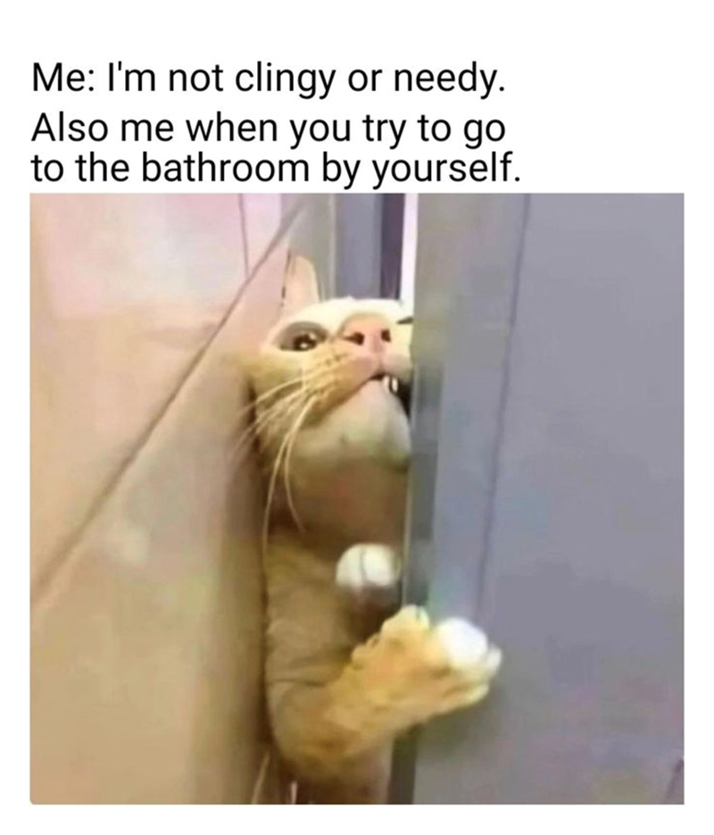Me: I'm not clingy or needy. Also me when you try to go to the bathroom by yourself.