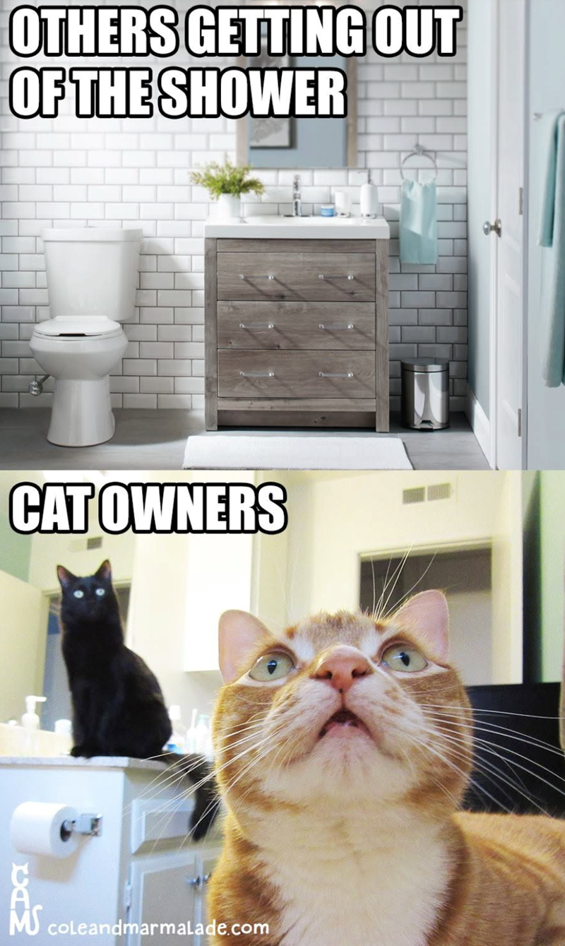 OTHERS GETTING OUT OF THE SHOWER CAT OWNERS coleandmarmalade.com