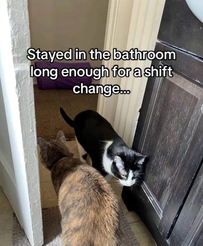 Stayed in the bathroom long enough for a shift change....