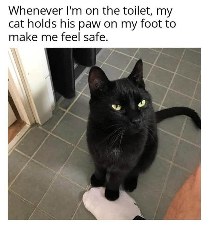 Whenever I'm on the toilet, my cat holds his paw on my foot to make me feel safe.