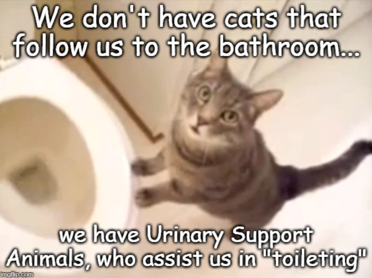 We don't have cats that follow us to the bathroom... we have Urinary Support Animals, who assist us in "toileting" imgflip.com