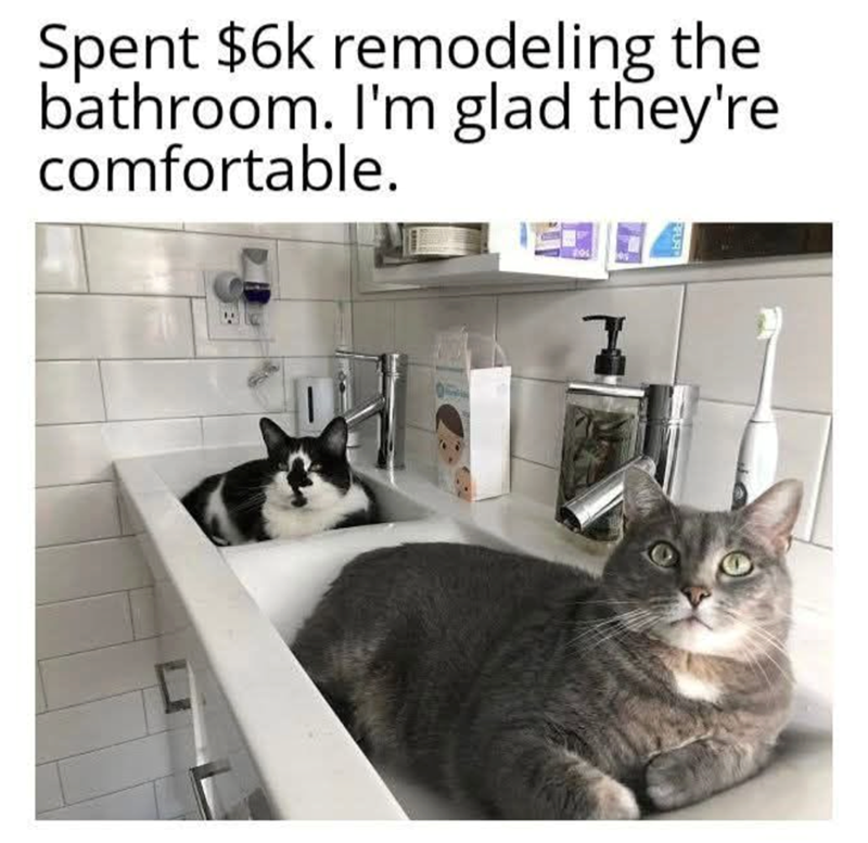 Spent $6k remodeling the bathroom. I'm glad they're comfortable.
