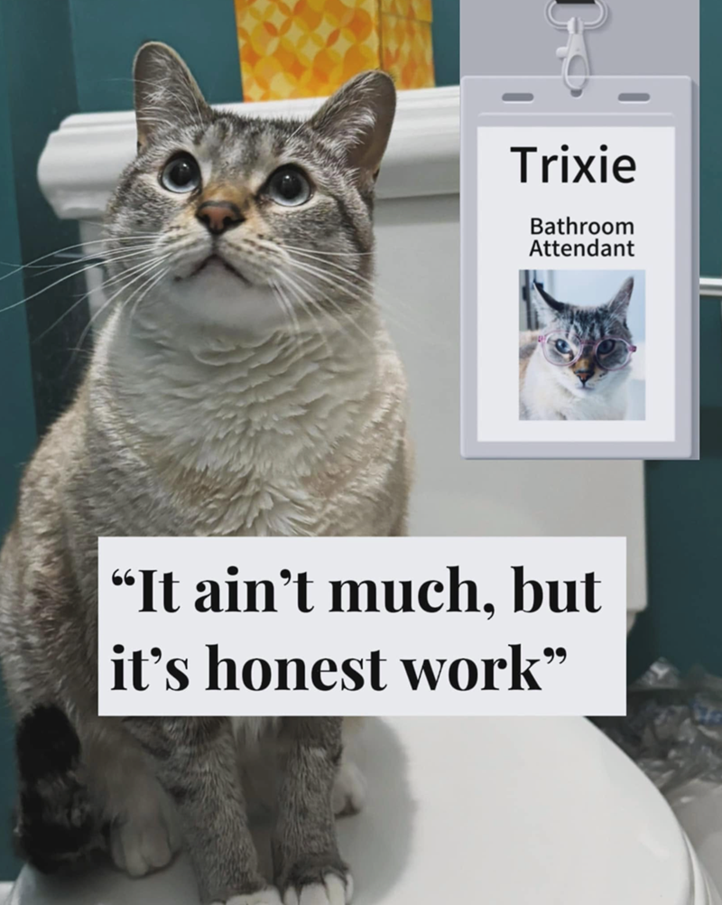Trixie Bathroom Attendant "It ain't much, but it's honest work"