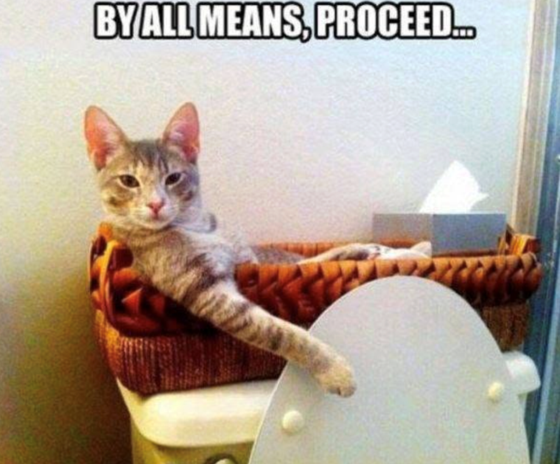 BY ALL MEANS, PROCEED...