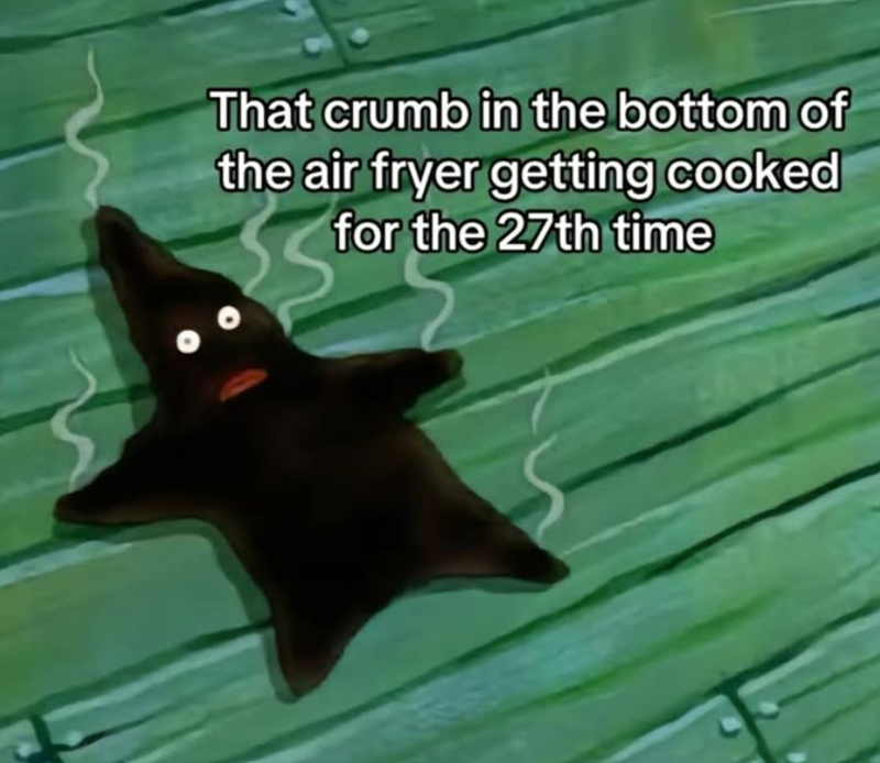 That crumb in the bottom of the air fryer getting cooked for the 27th time