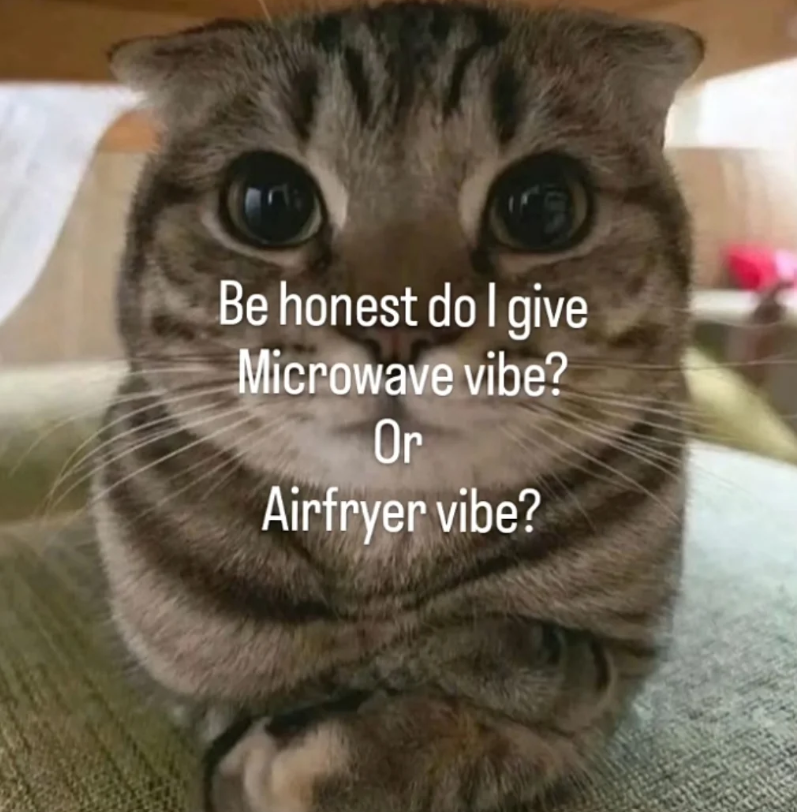 Be honest do I give Microwave vibe? Or Airfryer vibe?