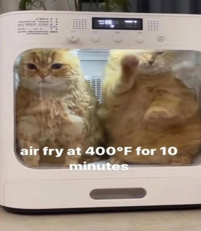 Ο air fry at 400°F for 10 minutes