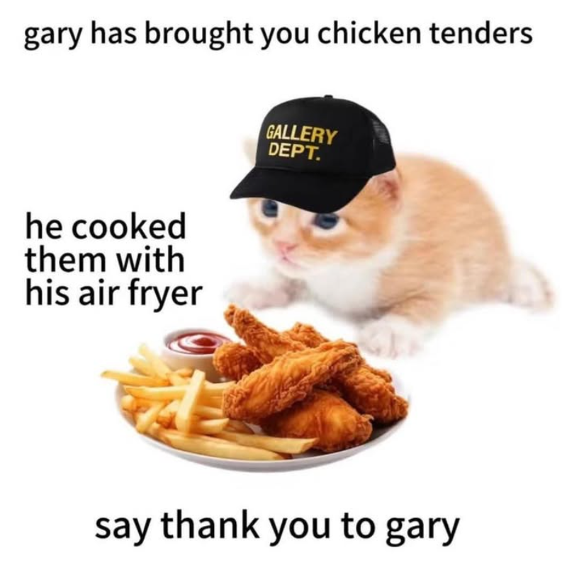 gary has brought you chicken tenders he cooked them with his air fryer GALLERY DEPT. say thank you to gary