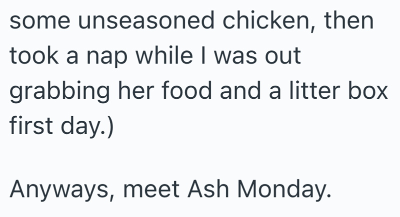 some unseasoned chicken, then took a nap while I was out grabbing her food and a litter box first day.) Anyways, meet Ash Monday.