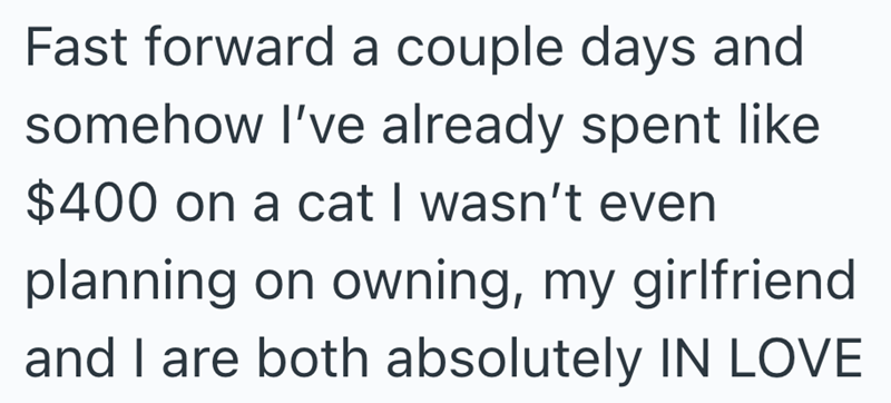 Fast forward a couple days and somehow I've already spent like $400 on a cat I wasn't even planning on owning, my girlfriend and I are both absolutely IN LOVE