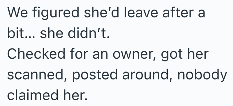 We figured she'd leave after a bit... she didn't. Checked for an owner, got her scanned, posted around, nobody claimed her.
