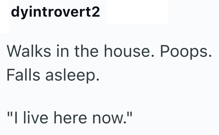 dyintrovert2 Walks in the house. Poops. Falls asleep. "I live here now."