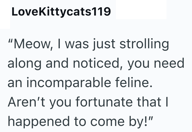 LoveKittycats119 "Meow, I was just strolling along and noticed, you need an incomparable feline. Aren't you fortunate that I happened to come by!"