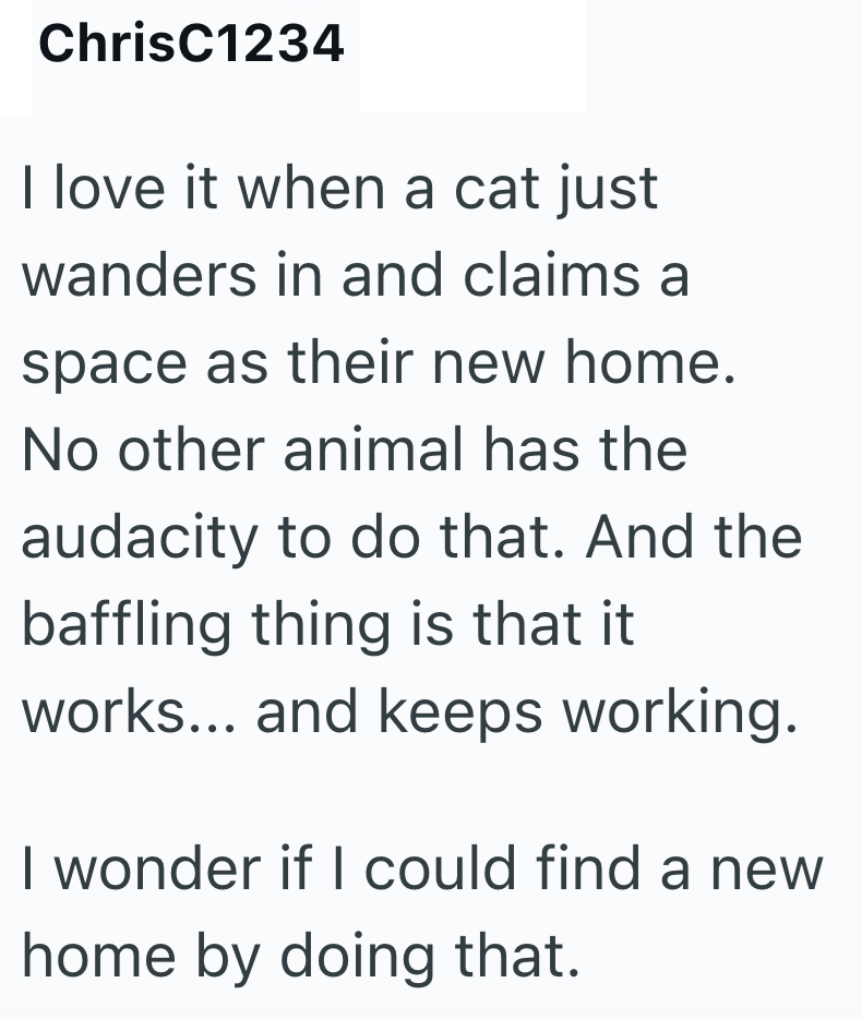 ChrisC1234 I love it when a cat just wanders in and claims a space as their new home. No other animal has the audacity to do that. And the baffling thing is that it works... and keeps working. I wonder if I could find a new home by doing that.