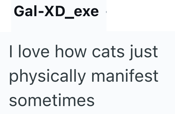 Gal-XD_exe I love how cats just physically manifest sometimes