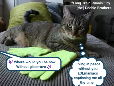 "Long Train Runnin'" by [the] Doobie Brothers Where would you be now... Without glooo-ove N Living in peace without you LOLmaniacs captioning me all the time.