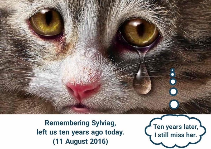 Remembering Sylviag, left us ten years ago today. (11 August 2016) Ten years later, I still miss her.