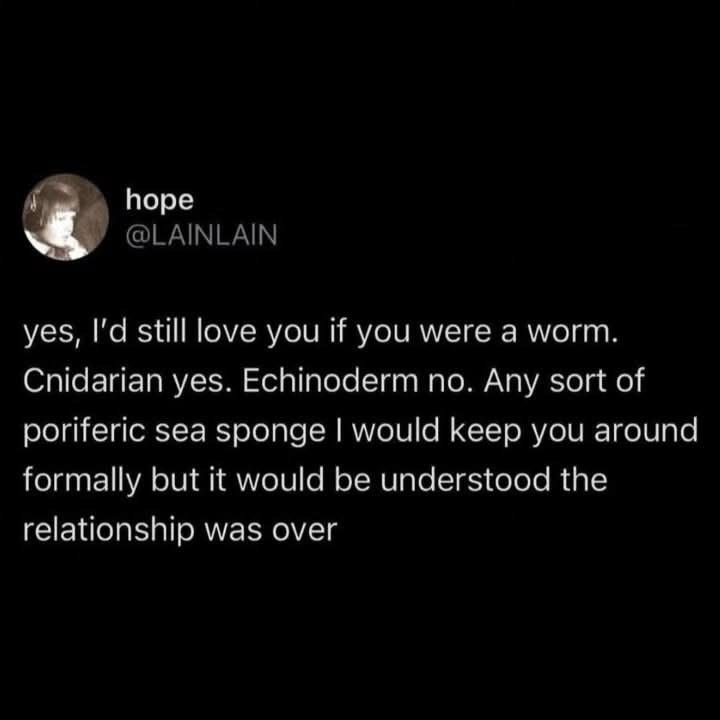 hope @LAINLAIN yes, I'd still love you if you were a worm. Cnidarian yes. Echinoderm no. Any sort of poriferic sea sponge I would keep you around formally but it would be understood the relationship was over