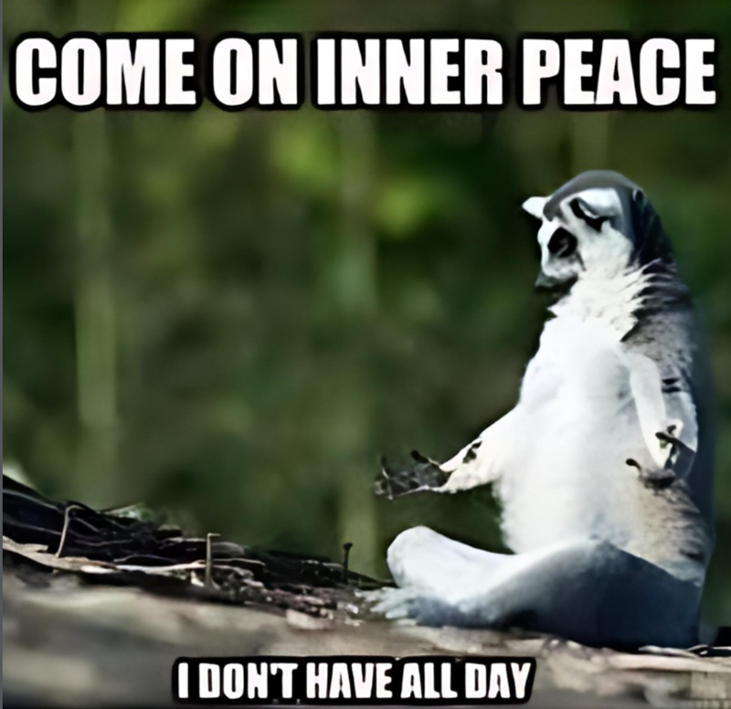 COME ON INNER PEACE I DON'T HAVE ALL DAY
