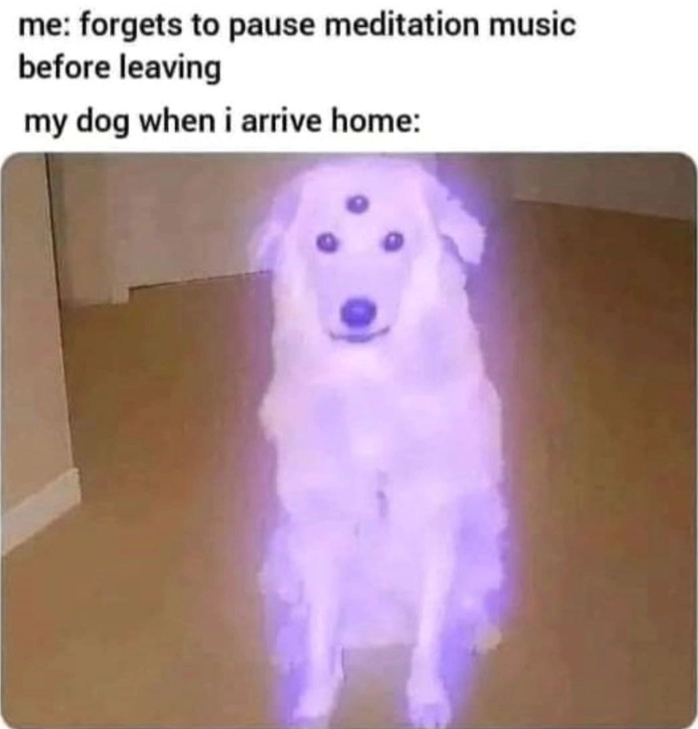 me: forgets to pause meditation music before leaving my dog when i arrive home: