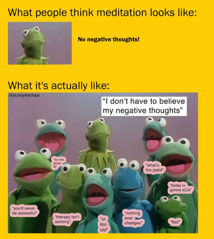 What people think meditation looks like: No negative thoughts! What it's actually like: @bunnymichael "I don't have to believe my negative thoughts" "you'll never be sucessful" "no one gives af "therapy isn't working" "ur too old" "nothing ever "what's the point" "today is gonna sk" changes" "fml"
