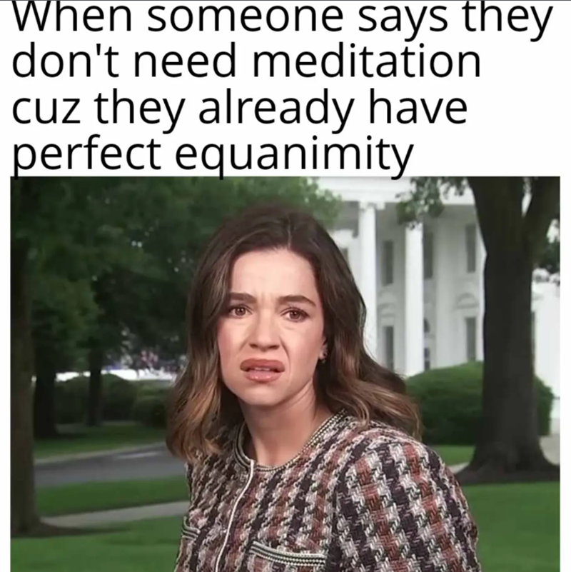 When someone says they don't need meditation cuz they already have perfect equanimity