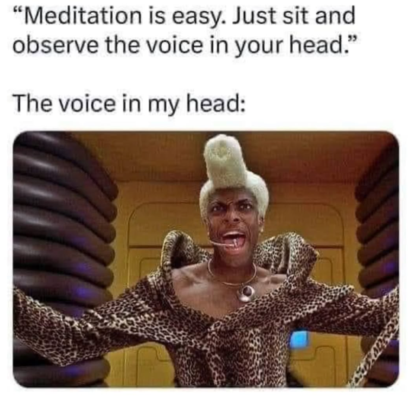 "Meditation is easy. Just sit and observe the voice in your head." The voice in my head: