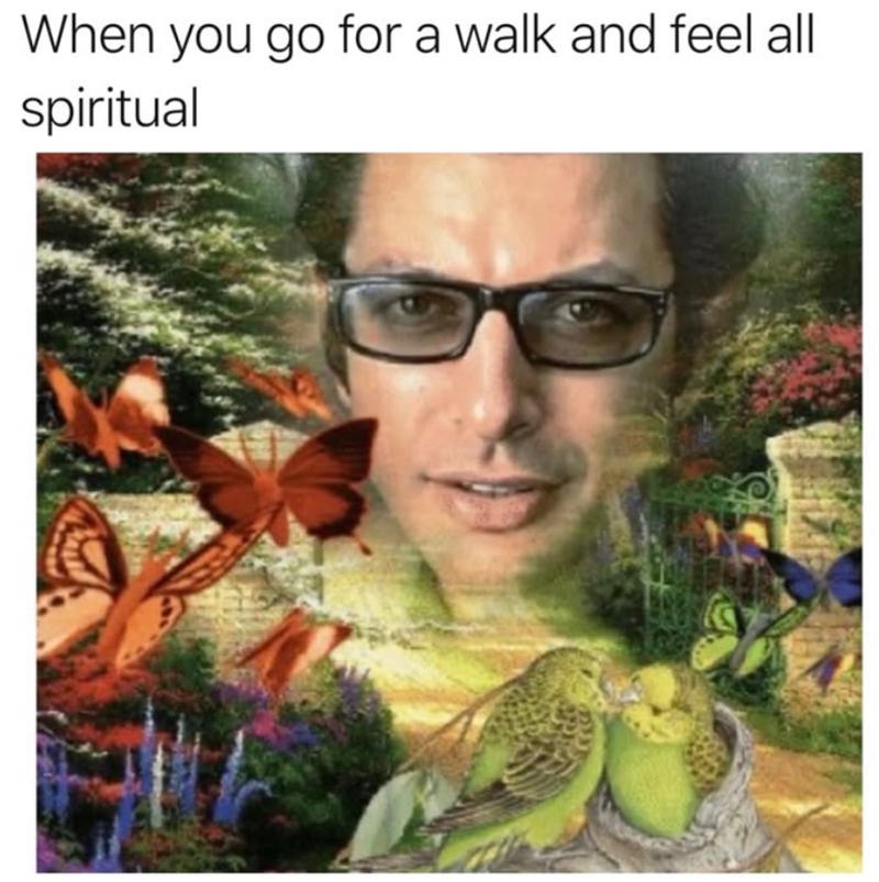 When you go for a walk and feel all spiritual