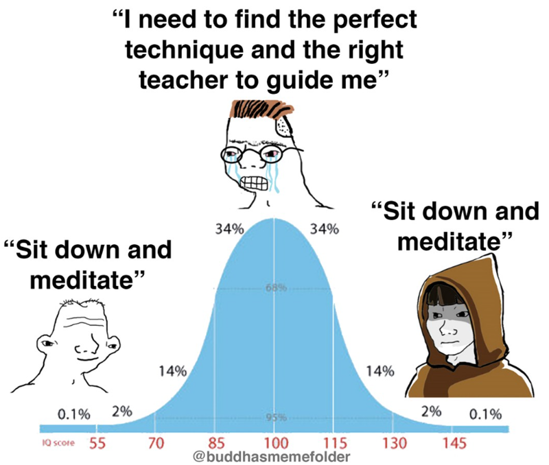 "I need to find the perfect technique and the right teacher to guide me❞ "Sit down and meditate" "Sit down and 34% 34% 68% 14% 0.1% 2% 95% IQ score 55 70 85 100 115 @buddhasmemefolder meditate" 31 14% 2% 0.1% 130 145