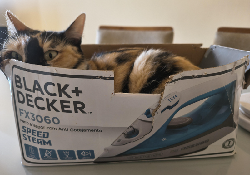 BLACK+ DECKER FX3060 TM Ferro a Vapor com Anti Gotejamento SPEED STEAM (BLACK+DECKER) 10