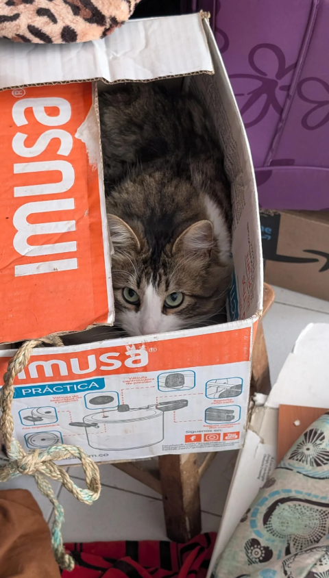 esnwi musa PRÁCTICA do m.co Siguenos en O