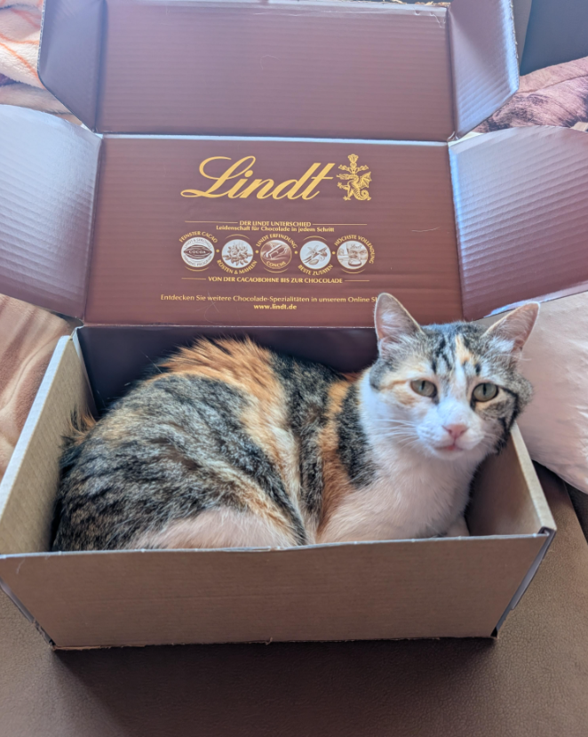 Lindt DER LINDT UNTERSCHIED Leidenschaft für Chocolade in jedem Schritt VEINSTER COLO CACAO ROSTEN UNDI DUNG VOLLEN VON DER CACAOBOHNE BIS ZUR CHOCOLADE Entdecken Sie weitere Chocolade-Spezialitäten in unserem Online S www.lindt.de
