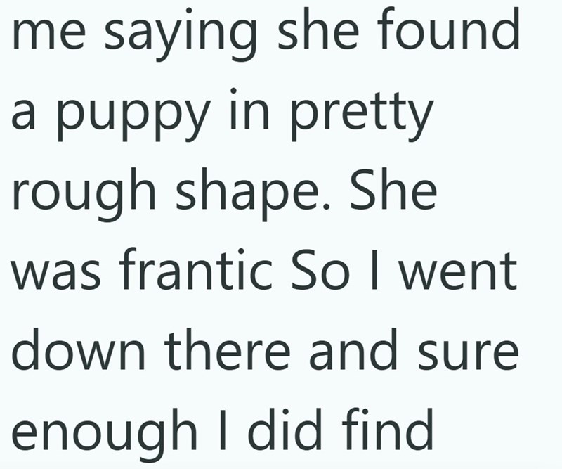me saying she found a puppy in pretty rough shape. She was frantic So I went down there and sure enough I did find