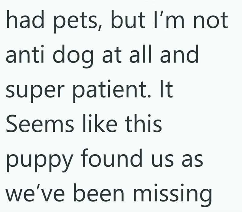 had pets, but I'm not anti dog at all and super patient. It Seems like this puppy found us as we've been missing