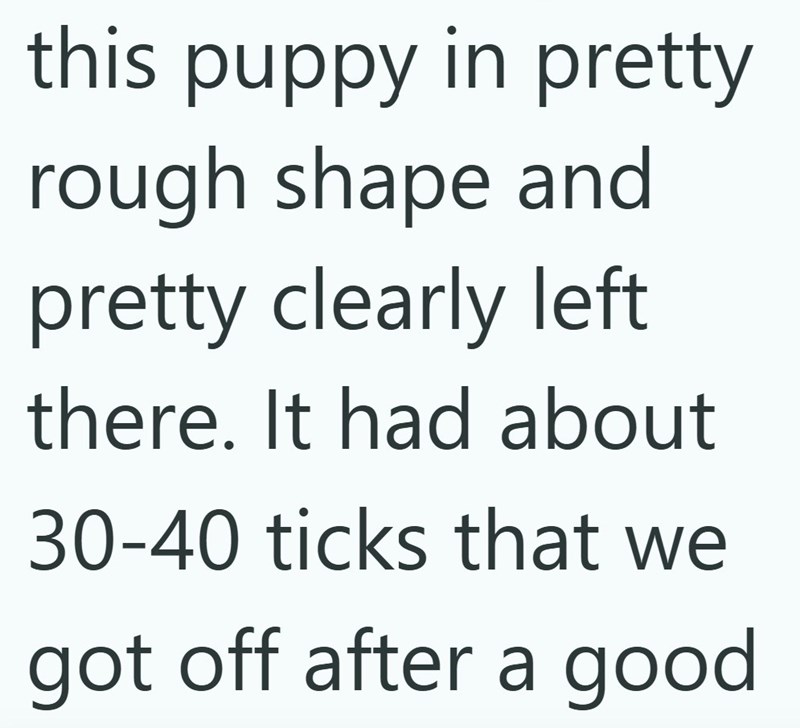 this puppy in pretty rough shape and pretty clearly left there. It had about 30-40 ticks that we got off after a good