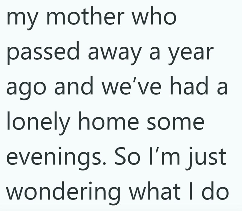 my mother who passed away a year ago and we've had a lonely home some evenings. So I'm just wondering what I do