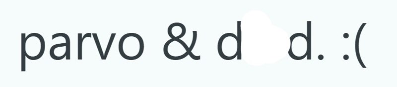 parvo & d d. :(