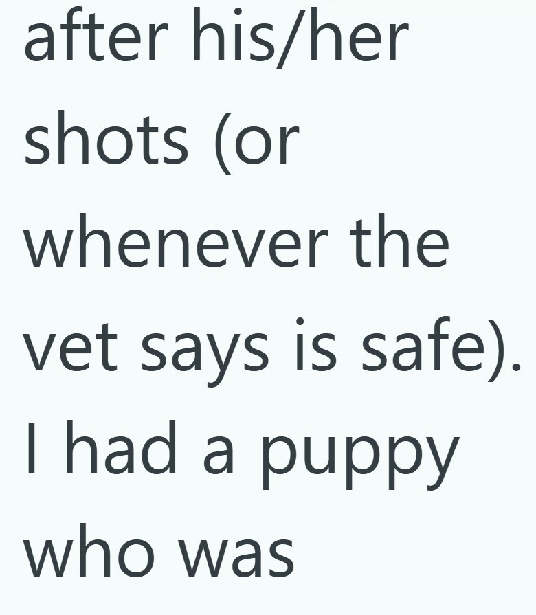 after his/her shots (or whenever the vet says is safe). I had a puppy who was