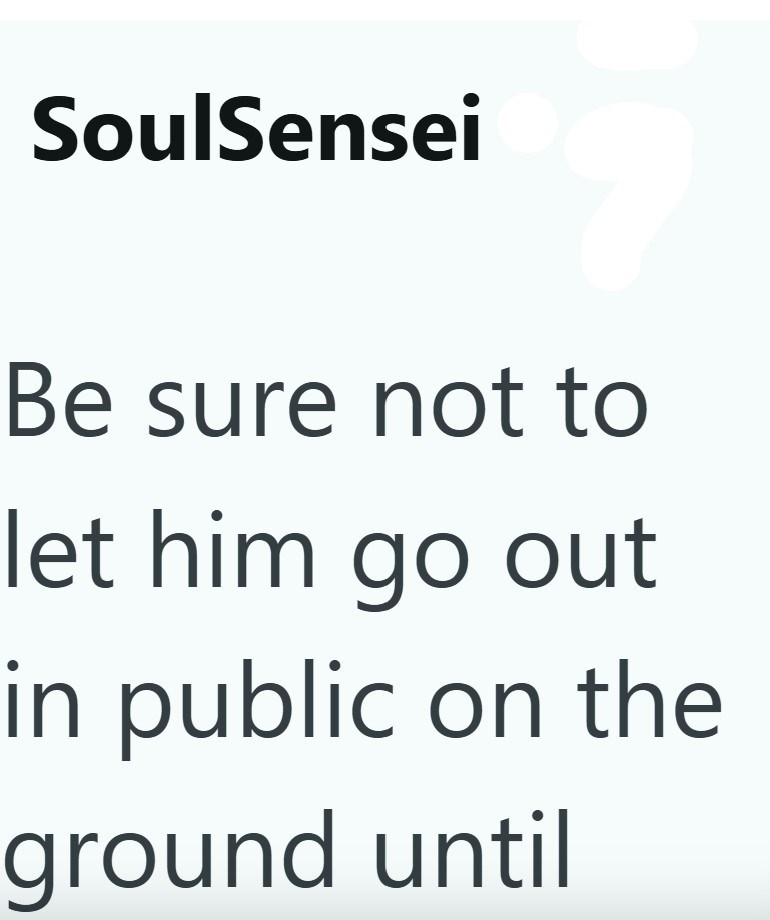 SoulSensei Be sure not to let him go out in public on the ground until
