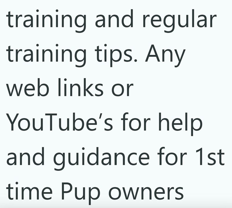 training and regular training tips. Any web links or YouTube's for help and guidance for 1st time Pup owners
