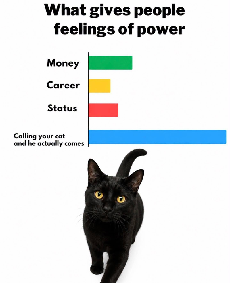 What gives people feelings of power Money Career Status Calling your cat and he actually comes