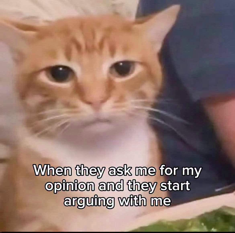 When they ask me for my opinion and they start arguing with me