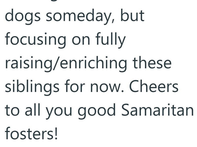 dogs someday, but focusing on fully raising/enriching these siblings for now. Cheers to all you good Samaritan fosters!