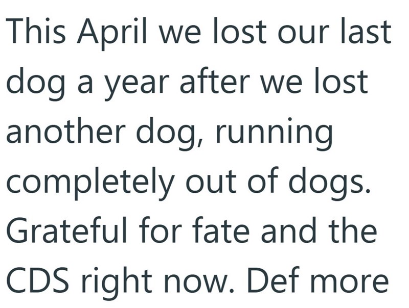 This April we lost our last dog a year after we lost another dog, running completely out of dogs. Grateful for fate and the CDS right now. Def more