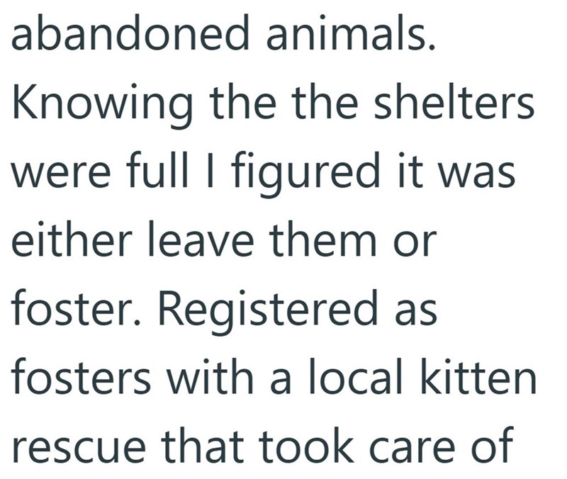 abandoned animals. Knowing the the shelters were full I figured it was either leave them or foster. Registered as fosters with a local kitten rescue that took care of