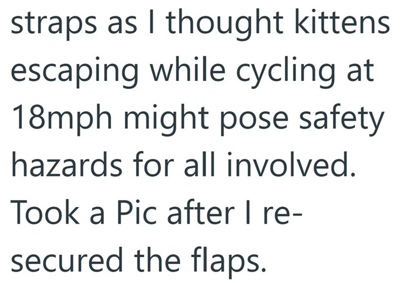 straps as I thought kittens escaping while cycling at 18mph might pose safety hazards for all involved. Took a Pic after I re- secured the flaps.