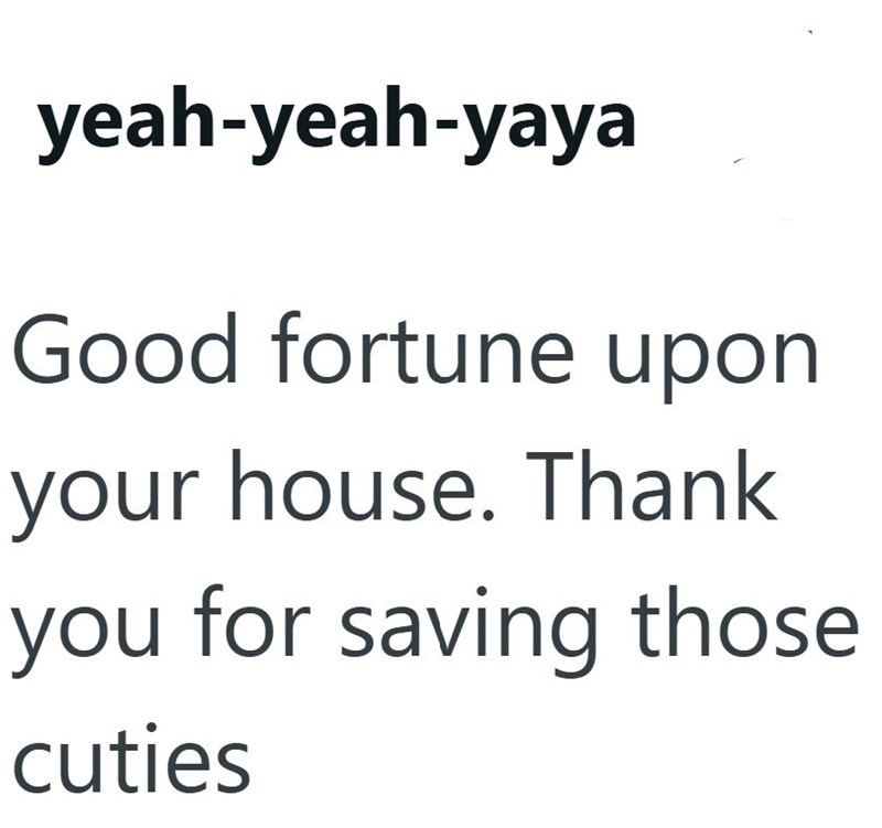 yeah-yeah-yaya Good fortune upon your house. Thank you for saving those cuties