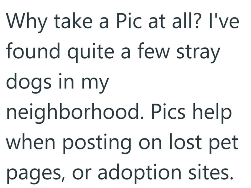Why take a Pic at all? I've found quite a few stray dogs in my neighborhood. Pics help when posting on lost pet pages, or adoption sites.