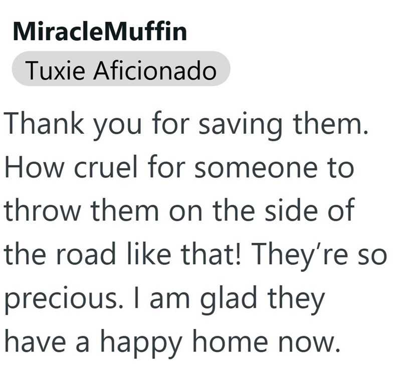 MiracleMuffin Tuxie Aficionado Thank you for saving them. How cruel for someone to throw them on the side of the road like that! They're so precious. I am glad they have a happy home now.