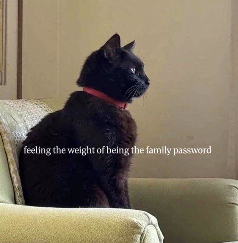 feeling the weight of being the family password